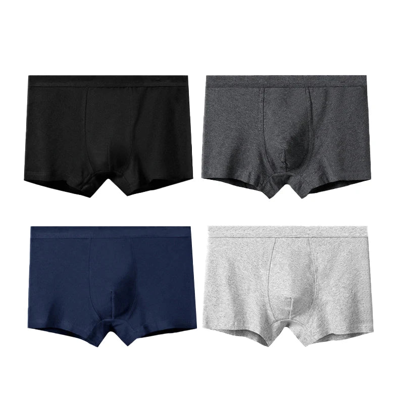 UNDERWEAR VOLLY 4 PCS